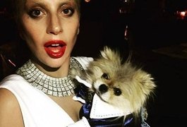 Mesmo sem data definida, Lady Gaga pretende se casar ainda este ano