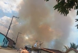 Vídeo. Moradores de Palmeira dos Índios ficam assustados com incêndio em vegetação