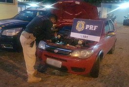 PRF prende homem com carro clonado e documento falso, no Agreste