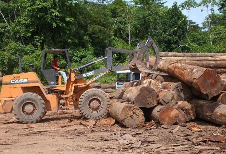 Amazônia perde 7.989 km² de floresta, maior desmatamento desde 2008