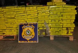 Vídeo. Polícia apreende caminhões com 10 toneladas de maconha em Pernambuco