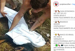 Cão é resgatado após ser enterrado vivo na Barra de São Miguel