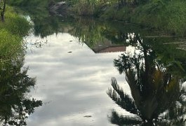 Polícia Civil investiga morte de peixes no Rio Maceiozinho, na Barra de São Miguel