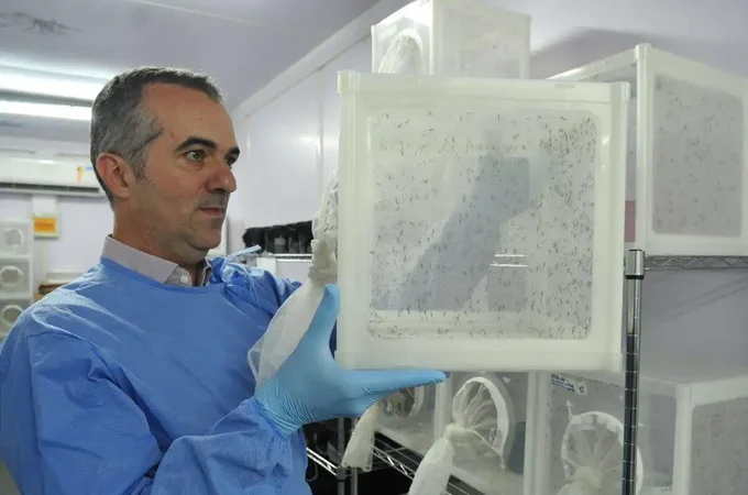 Brasileiro criador do 'Aedes' que bloqueia dengue é eleito pela Nature