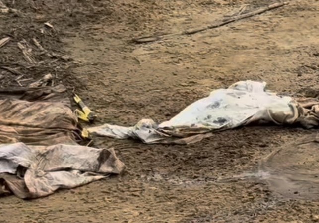 Corpo esquartejado é encontrado em estrada no Norte de Alagoas