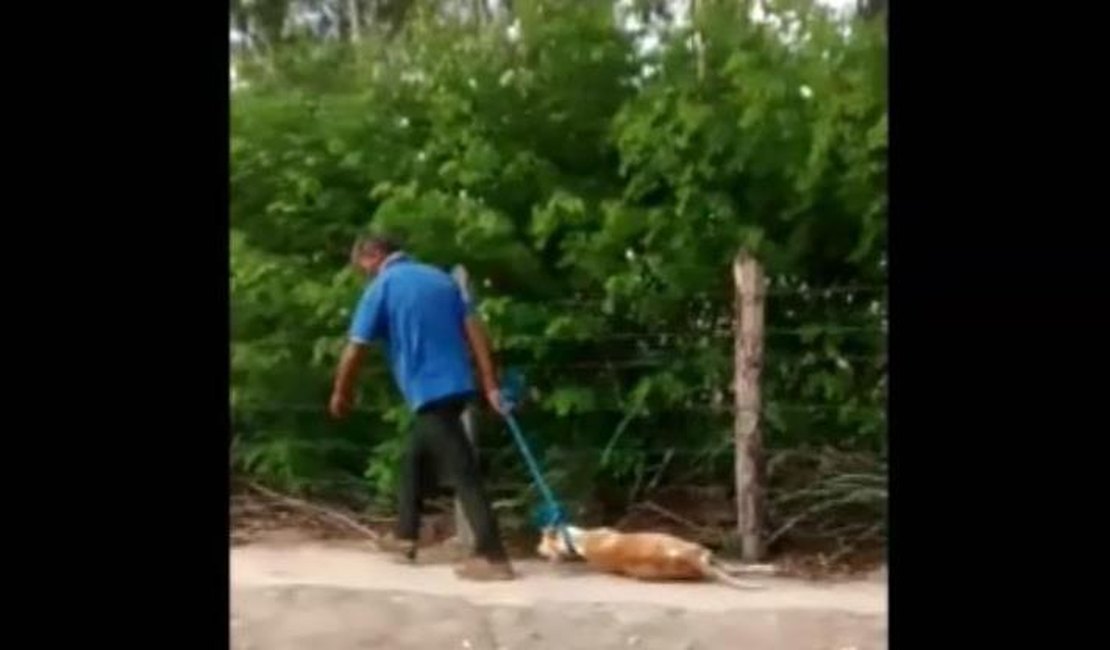 Vídeo. Homem é flagrado arrastando cachorro morto pelas ruas de Lagoa da Canoa