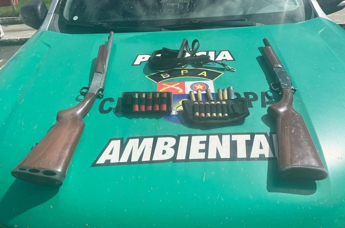 PM-AL recolhe 11 armas de fogo e resgata cerca de 400 aves silvestres em Alagoas