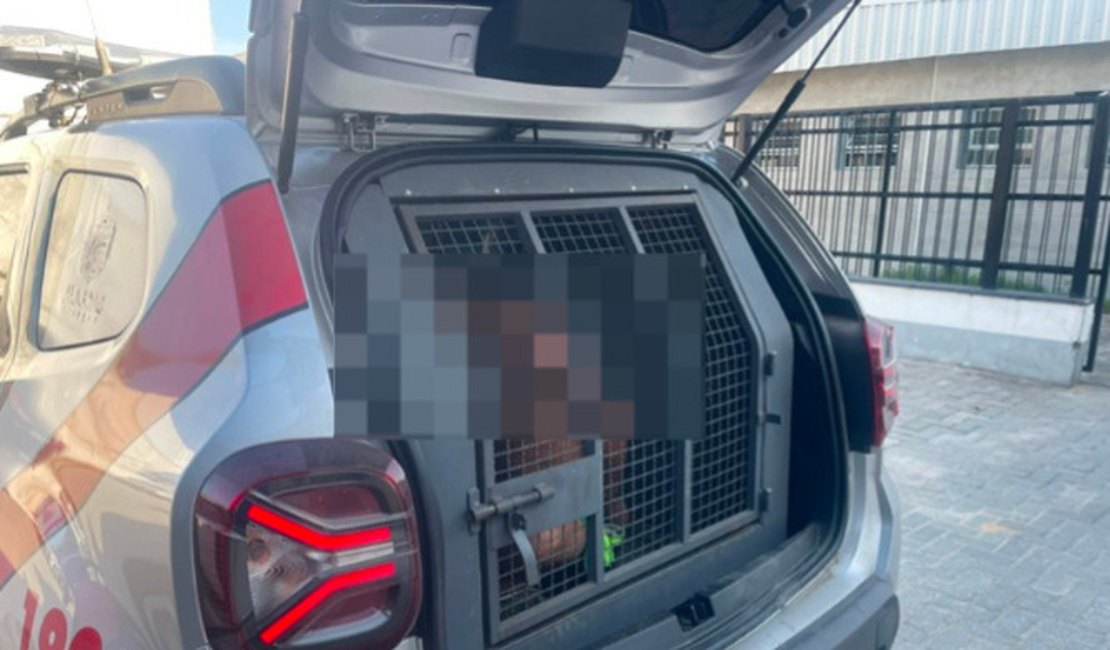 PM prende homem por obstrução do trabalho da polícia durante abordagem na Feira do Rato