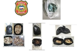 Instituto de Criminalística identifica origem de dinheiro apreendido na AL-220