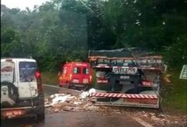Colisão entre duas carretas deixa um homem morto na BR-101, em São Miguel dos Campos