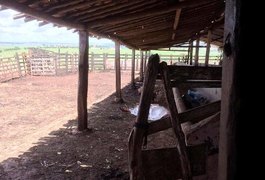 Homem é assassinado a tiros e facadas, dentro de fazenda em Girau do Ponciano