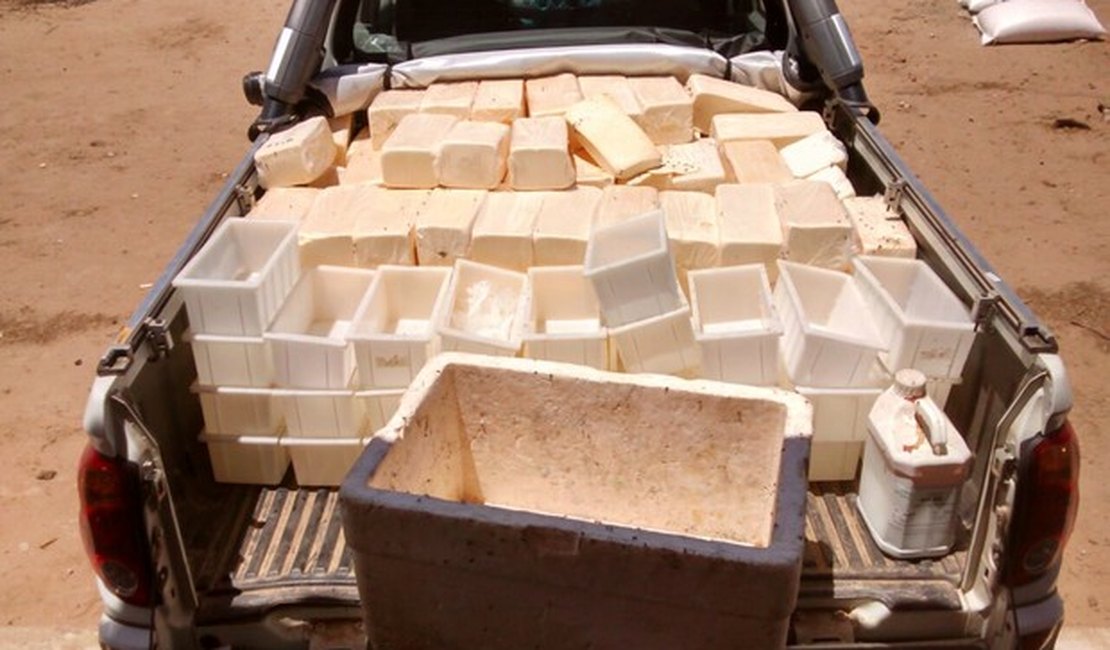 Fiscalização apreende 510 quilos de queijo em Traipu