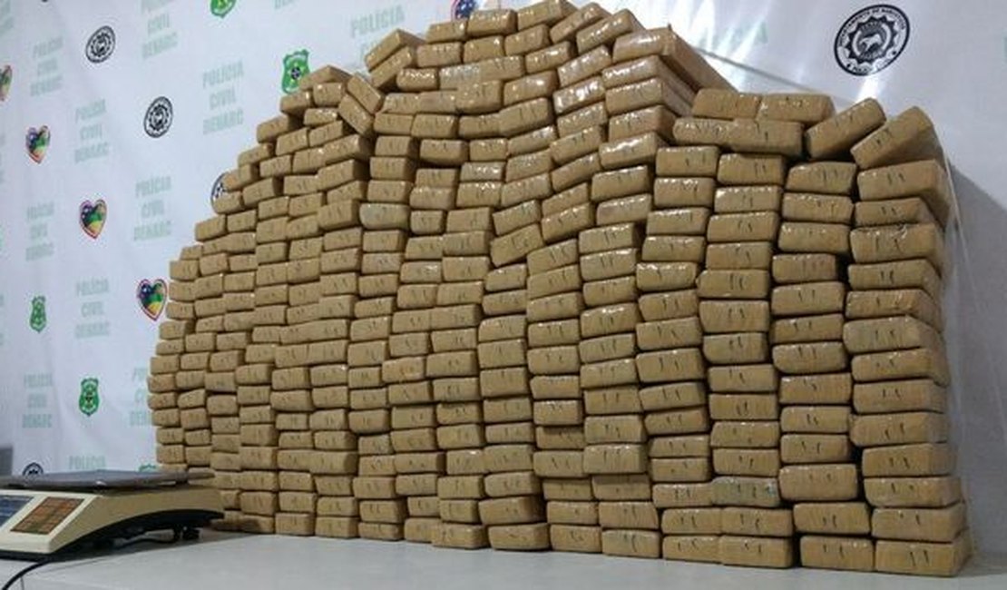 Polícias de Alagoas e Sergipe apreendem mais de 200 quilos de maconha