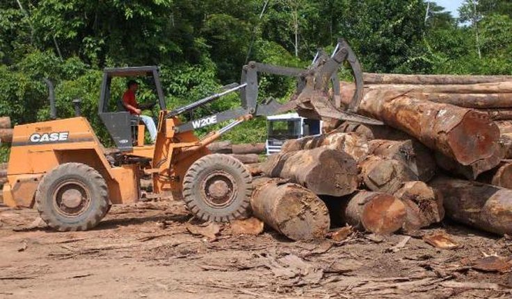 Amazônia perde 7.989 km² de floresta, maior desmatamento desde 2008