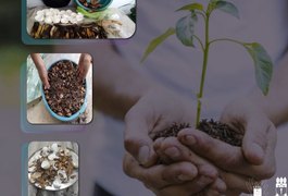 Alunos da Ufal no Sertão fazem compostagem para fertilizar solos