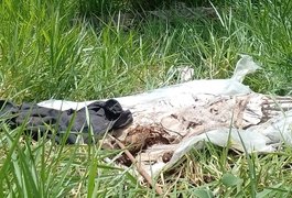 Polícia esclarece que caixão com restos mortais foi descartado para desocupar túmulo, no interior de Alagoas