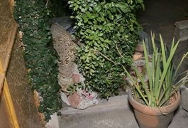 IML confirma causa da morte de corpo encontrado em residência da Gruta