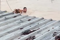 VÍDEO: Homem salva vida de cachorro durante inundação em bairro de Olinda