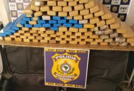 Polícia apreende quase 100 kg de maconha em ônibus que partiu da Bahia com destino a Arapiraca