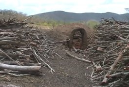 IMA flagra carvoaria em fazenda de presidente da Câmara de Piranhas, AL