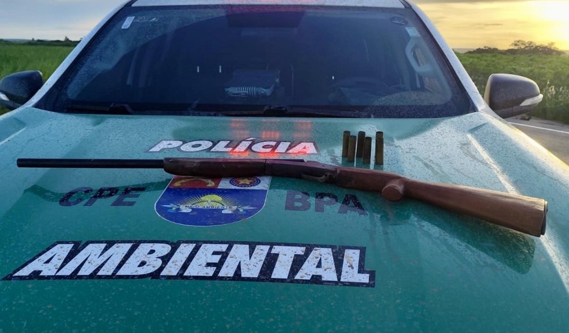 PM-AL apreende arma, aves silvestres e redes de pesca predatória no interior de Alagoas