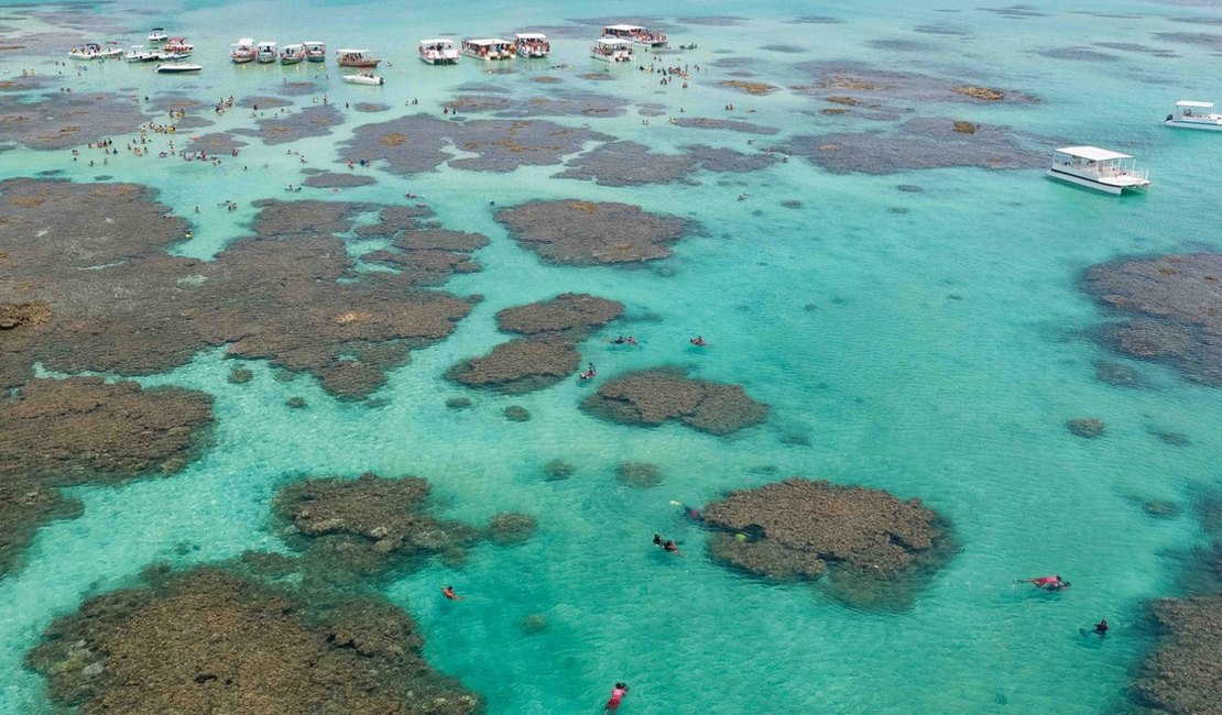 Litoral Norte de Alagoas tem quatro pontos impróprios para banho