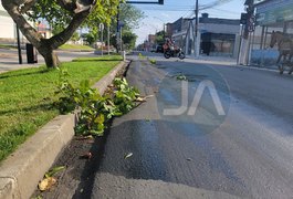 Caminhão derrama óleo e deixa motoristas em alerta no bairro Baixão, em Arapiraca