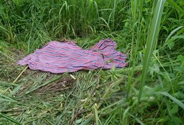 Com sinais de estupro, corpo de mulher é encontrado em matagal