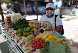 Emater contribuiu para o aporte de R$ 132 milhões na economia alagoana