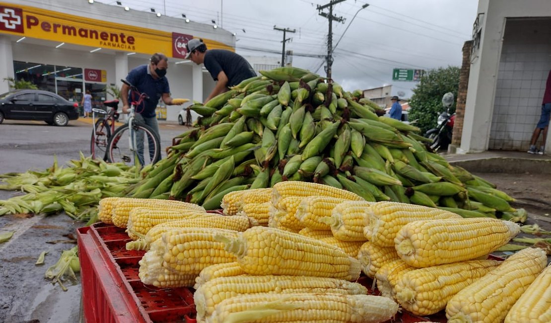 Vídeo. Mesmo com Pandemia, comércio de milho não sofre prejuízos em Arapiraca