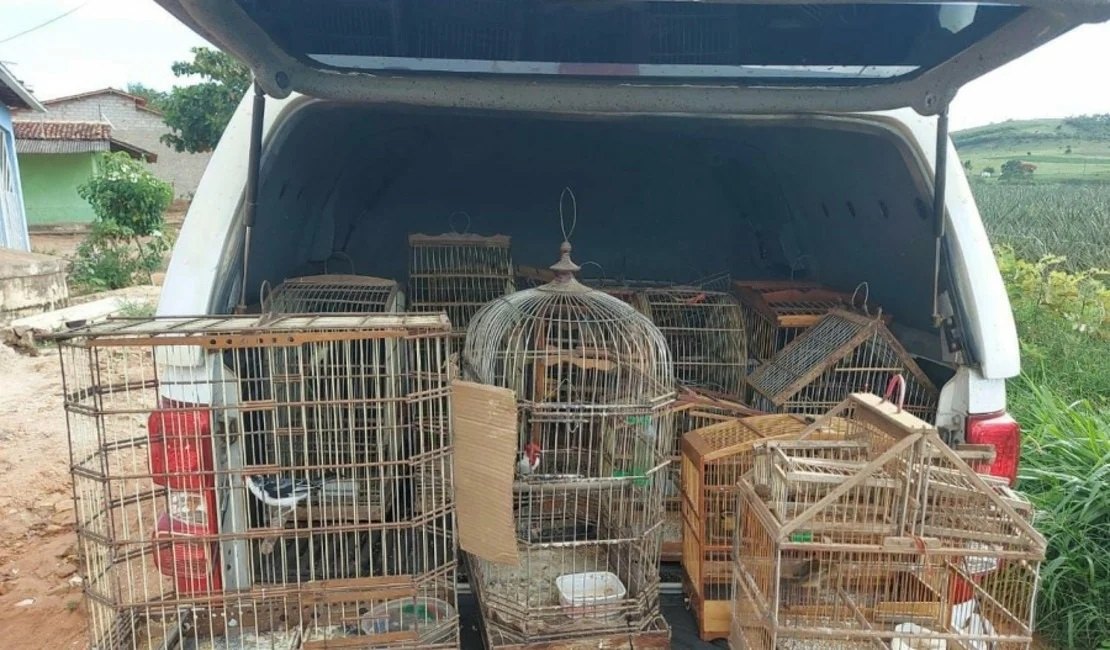 BPA realiza fiscalização ambiental na capital e no interior de Alagoas