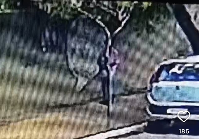 Moradores denunciam homem suspeito de danificar carros no Alto do Cruzeiro, em Arapiraca