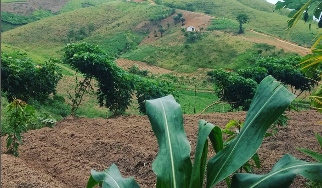 Muito além da fé: entenda o porquê 19 de março, Dia de São José é importante para a agricultura familiar no Nordeste