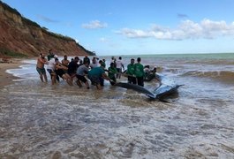 VÍDEO. Força-tarefa devolve baleia ao mar após 24h de encalhe na praia de Carro Quebrado