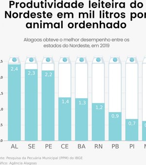 Alagoas supera média nacional e tem a maior produtividade leiteira do Nordeste