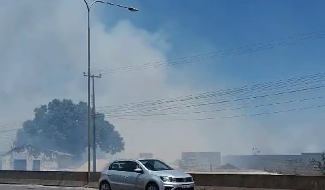 Vídeo. Incêndio em vegetação prejudica trânsito em rodovia de Arapiraca