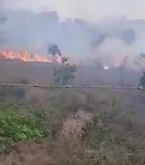 Incêndio atinge área de vegetação às margens da AL-485