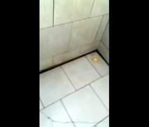 Sindicato denuncia insalubridade na Delegacia de Batalha, em Alagoas