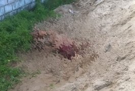 Jovem é encontrado morto a pedradas e despido no Cleto Marques Luz