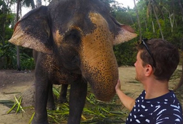 Elefante pega GoPro e faz selfie incrível na Tailândia