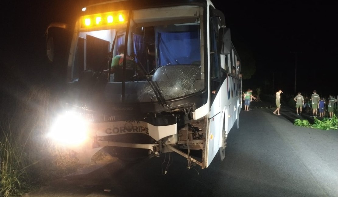 Ônibus com delegação do Coruripe colide contra égua prenha e potro em Penedo