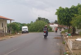 Árvore cai e deixa parte de rodovia obstruída em Arapiraca