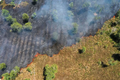 Desmatamento na Amazônia atinge menor nível desde 1985, quando série histórica teve início, aponta MapBiomas