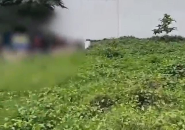 Casal suspeito de matar homem na Pajuçara, em Maceió, é preso em terreno baldio