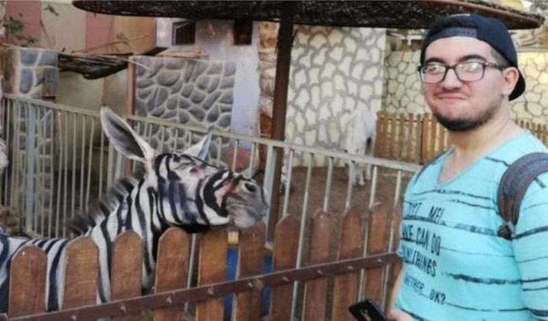 Zoológico egípcio é acusado de pintar burro para parecer zebra