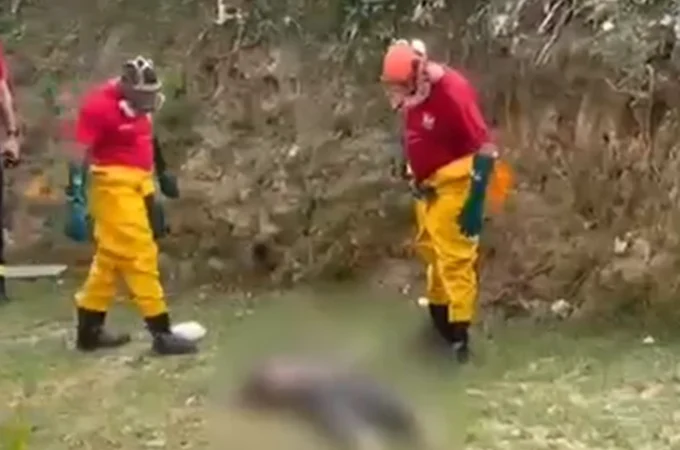 Corpo é encontrado em riacho do Reginaldo, em Maceió