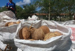 Agricultores familiares vendem produções a entidades sociais em nova etapa do PAA