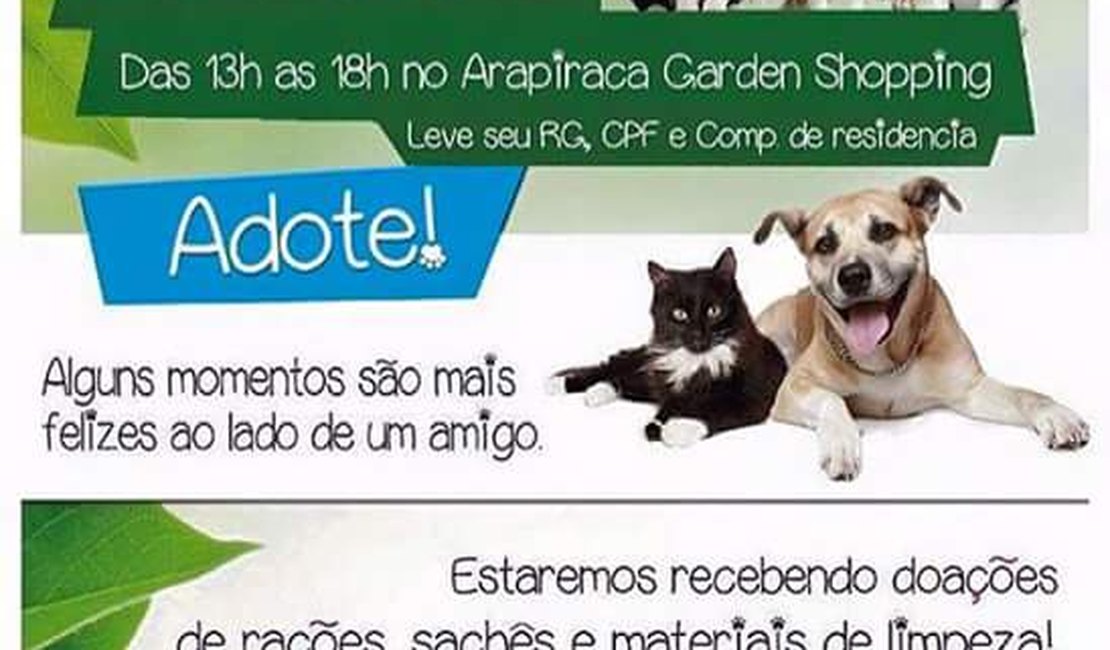 ONG Protetoras realiza feira de adoção de animais