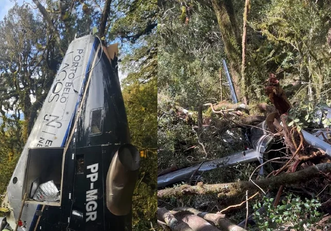 Motores do helicóptero que levava Rick são retirados; aeronave fica na mata