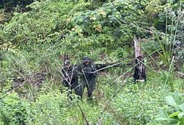 Homem que assassinou esposa na frente dos filhos no Natal morre após trocar tiros com o Bope no AP